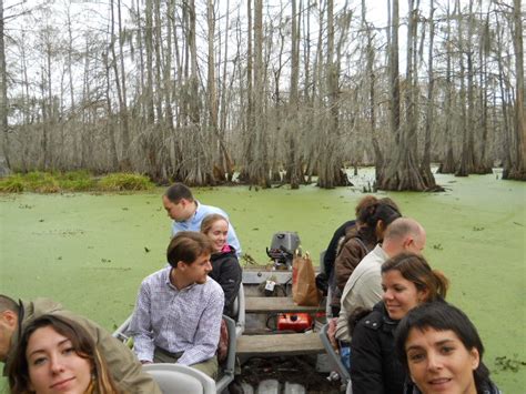 Louisiana Swamp Tours: Louisiana Swamp Tours?