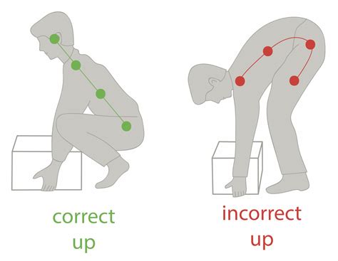 Lifting Mechanics: The Art of Proper Lifting - Apple Therapy Services