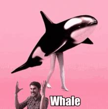 Whale GIFs | Tenor