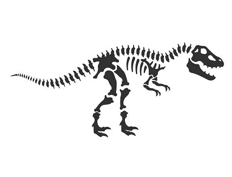 Dinosaur Skeleton Vector Illustration Stock Illustration - Download Image Now - iStock