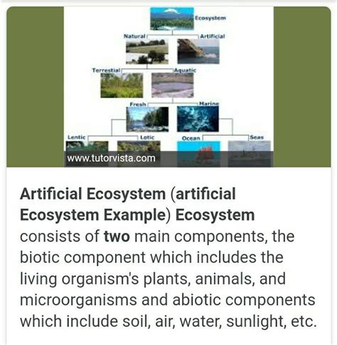 give two example of artificial ecosystem - Brainly.in