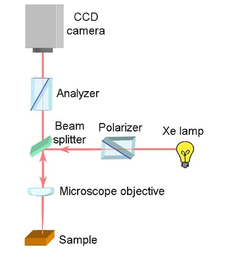 7. Schematic view of optical polarizing microscope for the magnetic... | Download Scientific Diagram