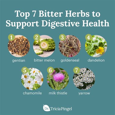 Top 7 Bitter Herbs to Support Digestive Health | Digestive bitters, Digestive health, Herbs