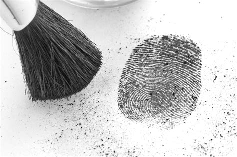 Fingerprint Identification (Digital Only) - Forensic Assurance