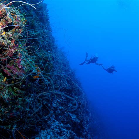 Andros Island Scuba Diving | Small Hope Bay Lodge