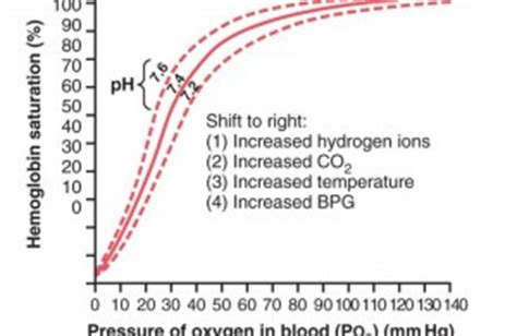 Oxygen hemoglobin dissociation curve - All medical stuff