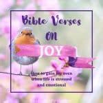 Smile Worthy Bible Verses about Joy - Bible Verses for You