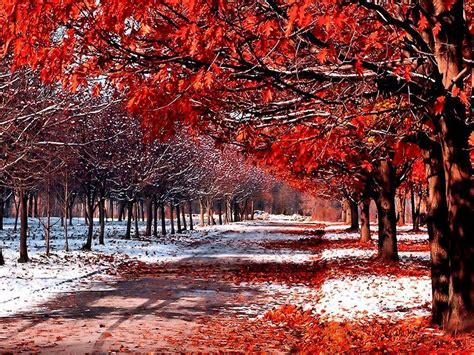 Snowy Autumn Wallpapers - Wallpaper Cave