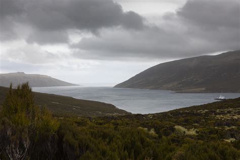 Subantarctic Surf Discovery, Part 1: Campbell Island - New Zealand Surf Journal