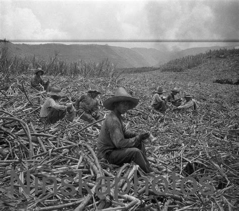 Lunch Break at a Sugar Cane Plantation Near Honolulu Hawaii - Etsy ...