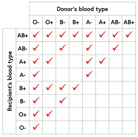 Why are some blood types incompatible with others? - Curious