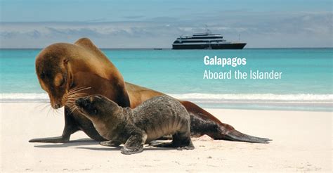 Galapagos Wildlife Cruise | Natural Habitat Adventures