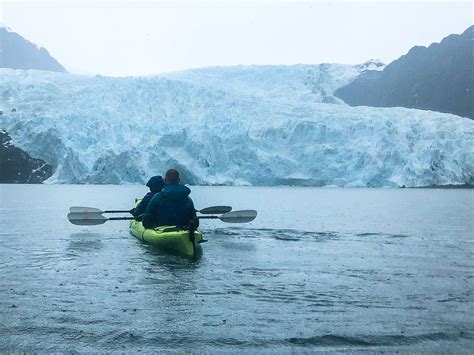 Beginner’s guide to kenai fjords national park kayaking trips – Artofit