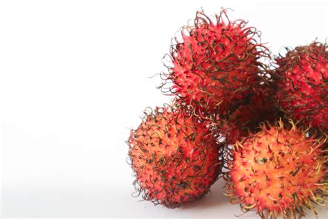 Rambutan taxonomic name, Nephelium lappaceum is a medium sized tropical tree in the Sapindaceae ...