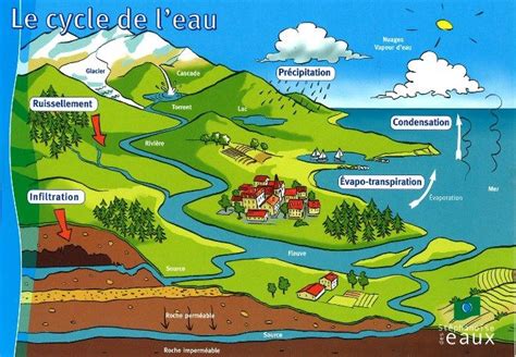 le cycle de l'eau schéma - Recherche Google | Cycle de l'eau, Eau, Cycle