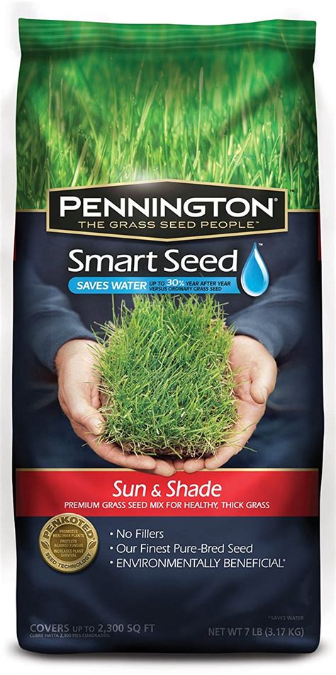 5 Best Grass Seed to Buy for a Healthy and Green Lawn