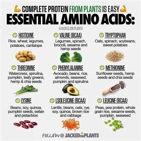 Daily Nutrition Facts 🌱 on Instagram: “Can You Get All Of Your Essential Amino Acids From Plants ...