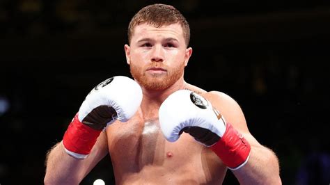 Canelo Alvarez's Next Title Defense Is Set