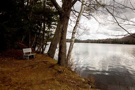 In Maine village, locals ponder future of summer resident Tucker Carlson