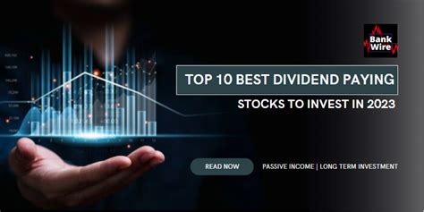 Top 10 Best Dividend Stocks to invest in 2023 - BankWire