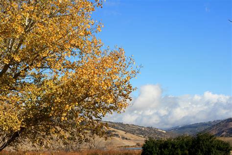 Tejon Pass In Late Autumn Free Stock Photo - Public Domain Pictures