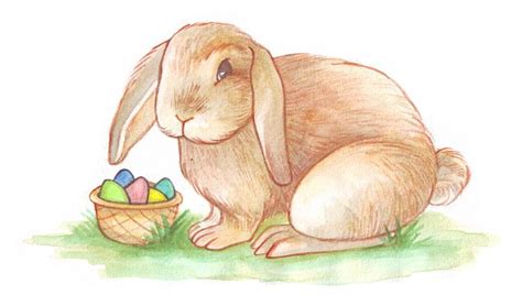 How to Draw the Easter Bunny | Easter drawings, Easter bunny pictures, Happy easter bunny