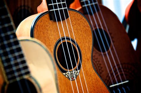 Free Images : music, acoustic guitar, musical instrument, ukulele ...