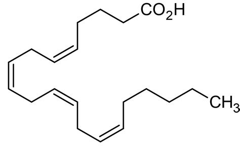 Arachidonic acid, omega-6 Polyunsaturated fatty acid (CAS 506-32-1) (ab120916)