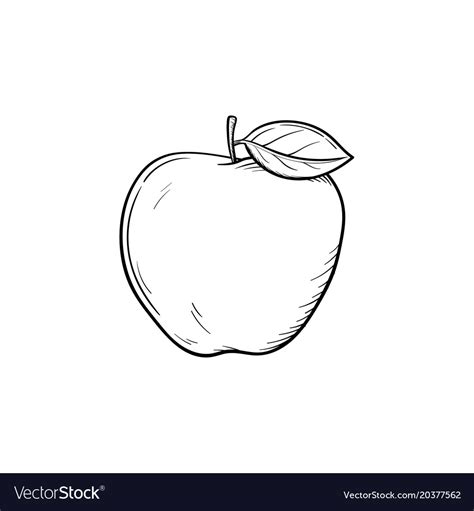 Apple fruit hand drawn sketch icon Royalty Free Vector Image