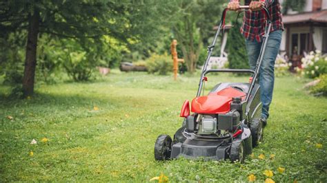 Expert tips for how to winterize a lawn mower correctly | Homes & Gardens