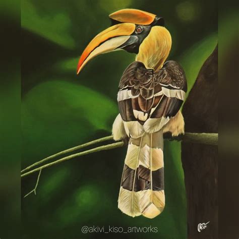 Hornbill painting by Akuvi Kiso | Abstract art painting, Kiso, Painting