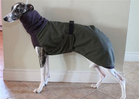 Whippet Coats