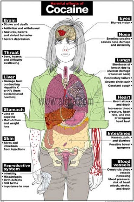 Just In Time Treatment: Harmful Effects Of Cocaine