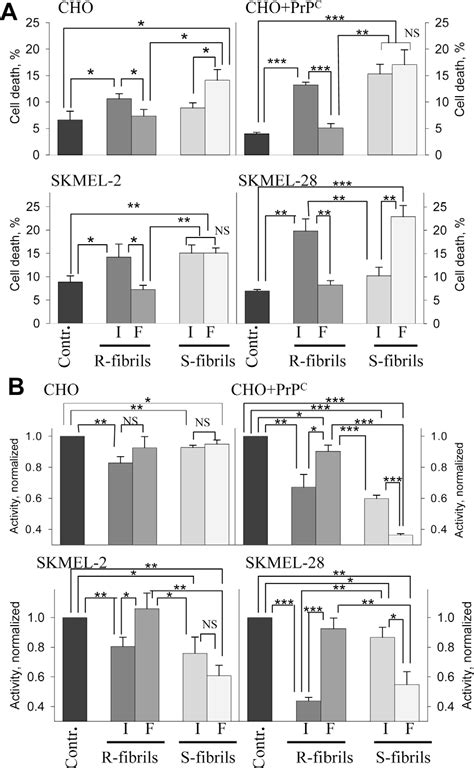 Figure 3 from Molecular Structure of Amyloid Fibrils Controls the Relationship between Fibrillar ...