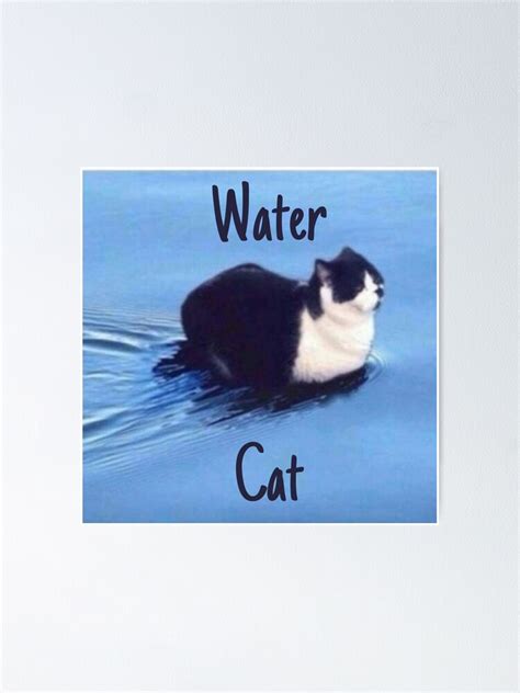 "Water cat meme" Poster for Sale by QuotesAndMemes | Redbubble