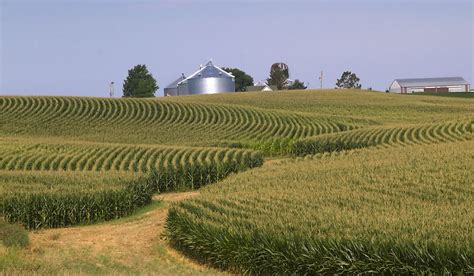 Where Is The Corn Belt? Corn Belt States - WorldAtlas.com