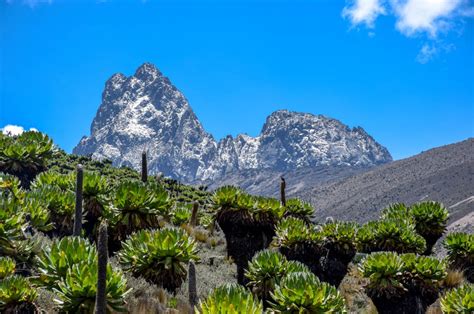 Mount Kenya in Kenia: Expedition auf dem zweithöchsten Berg Afrikas