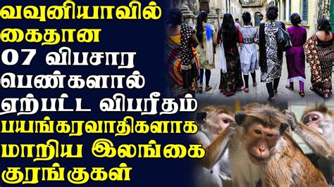 காலை நேர பிரதான செய்திகள் - 10.06.2023 | Sri Lanka News | news - YouTube