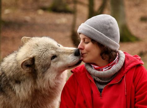 White Wolf : 15 Most Amazing Pictures of Wolf - Human Interaction