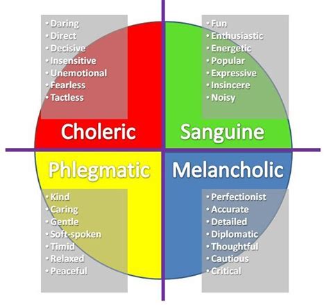 choleric - Google Search | Phlegmatic personality, Mbti personality, Psychologist humor