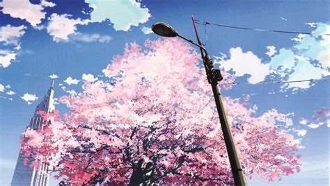 Sakura Tree | Anime scenery, Scenery, Anime cherry blossom