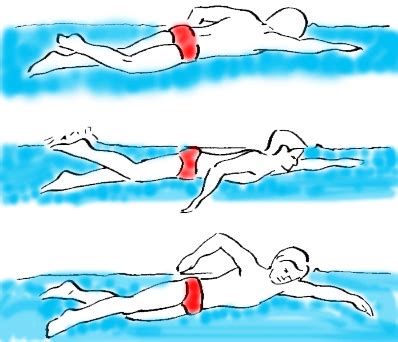 Powerful tips to master freestyle swimming - Friendly Dolphin Swim School