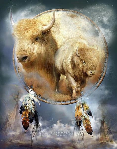 Dream Catcher - Spirit Of The White Buffalo Poster by Carol Cavalaris ...