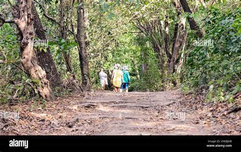 Playa Venao, Panama - February 2, 2023: Tourists entering trail ...