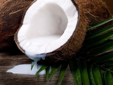 9 Coconut Milk Nutritional Benefits + Recipes - Dr. Axe