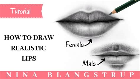 Female Mouth Drawing This article with sycra yasin gives you all the ...