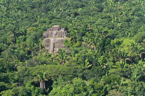 Lamanai, maya ruins stock photo. Image of rain, history - 36146808