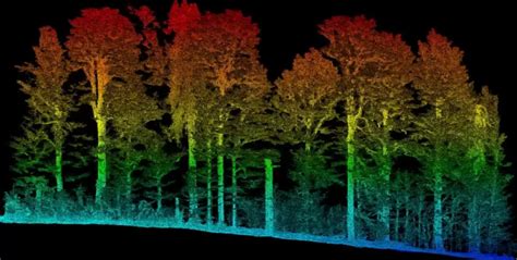 Forest Inventory – Forestry UNISMUH