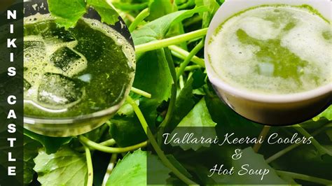 Vallarai Keerai Recipes in Tamil | Vallarai Keerai Coolers | Hot Soup |Brahmi Recipes - YouTube