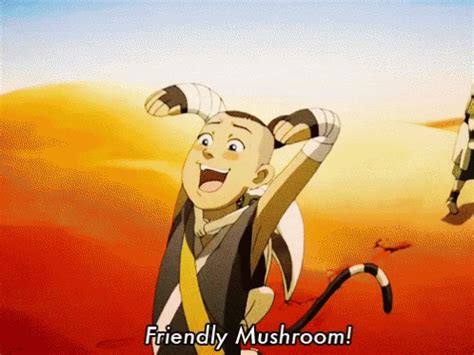 Avatar Last GIF - Avatar Last Airbender - Discover & Share GIFs